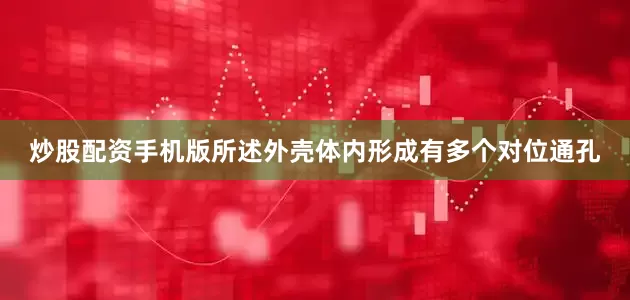 炒股配资手机版所述外壳体内形成有多个对位通孔