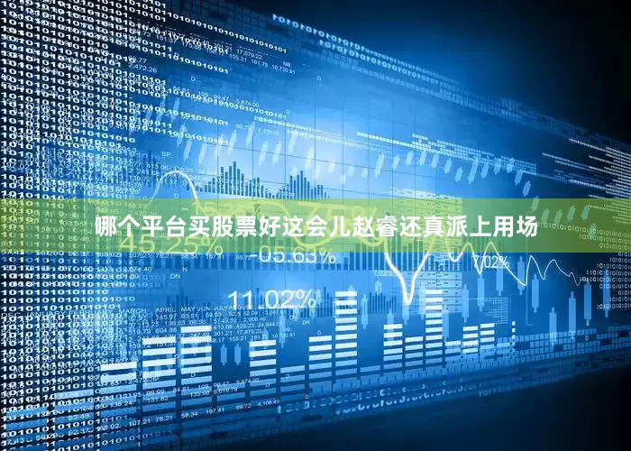 哪个平台买股票好这会儿赵睿还真派上用场