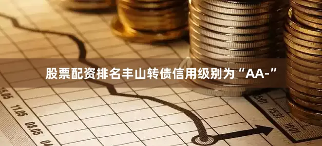 股票配资排名丰山转债信用级别为“AA-”